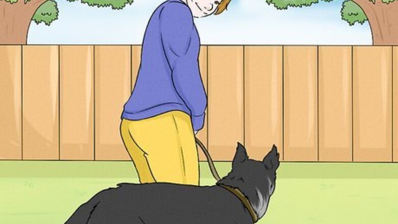 How to Groom an Anxious Dog