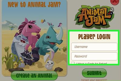 How to Create a Masterpiece on Animal Jam