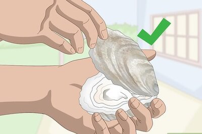 How to Grow Oysters