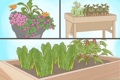 How to Garden During Coronavirus