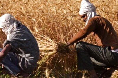 MSP For Various Kharif Crops Hiked: Know New Rates Here Approved by Cabinet