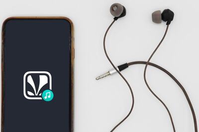 Diwali 2023: What's a Celebration Without Some Music? Here's Your Playlist For This Festive Season