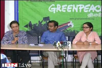 Greenpeace member yet again denied entry into India despite a valid visa, alleges the NGO