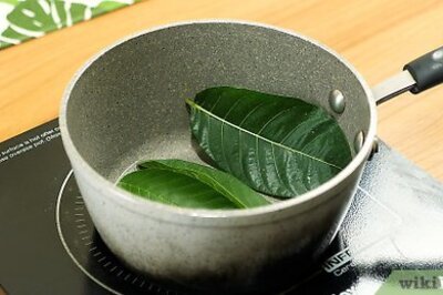 How to Make Skeleton Leaves