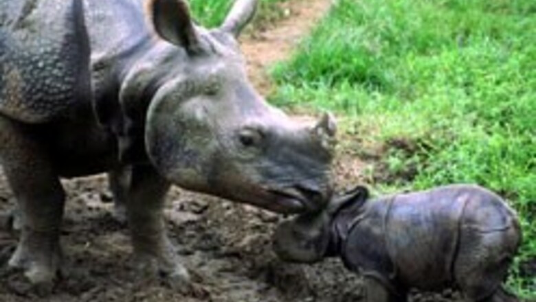 Zoo animals beat the heat in Chennai