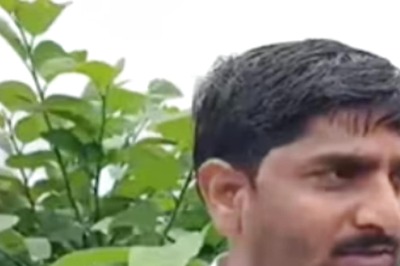 Solapur Farmer Earns In Lakhs From Golden Custard Apple Cultivation