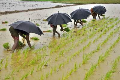 Centre Tells Odisha to Send List of Farmers Under PM-Kisan Scheme