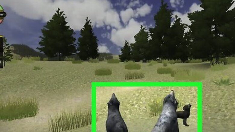 How to Survive to the Summer Den Site on WolfQuest