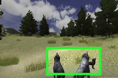 How to Survive to the Summer Den Site on WolfQuest