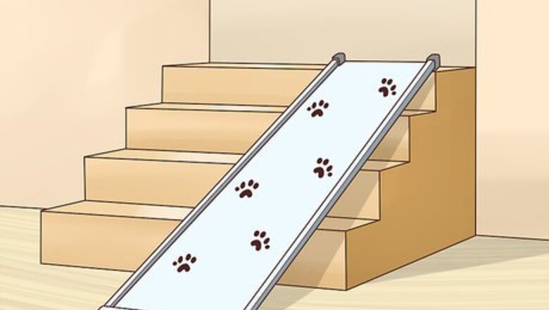 How to Help an Old Dog Up the Stairs