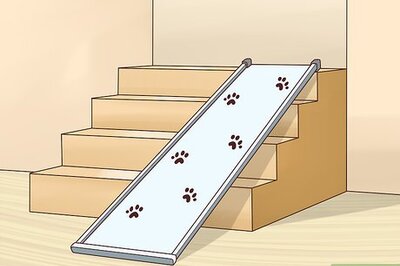 How to Help an Old Dog Up the Stairs