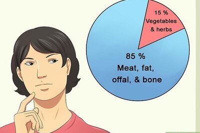 How to Cook for Cats