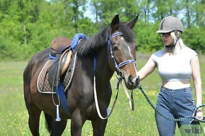 How to Mount a Horse