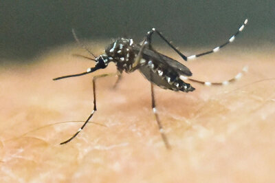 WHO Says Zika Response Plan Only 13% Funded