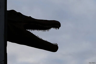 New dinosaur species unearthed in Tanzania