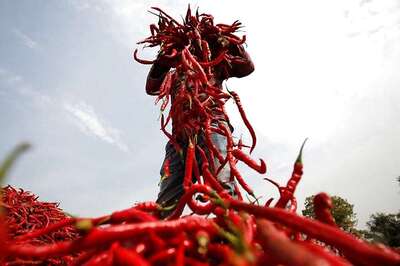 Consuming More Than 50 grams of Chillies Per Day Could Cause Dementia, Says Study