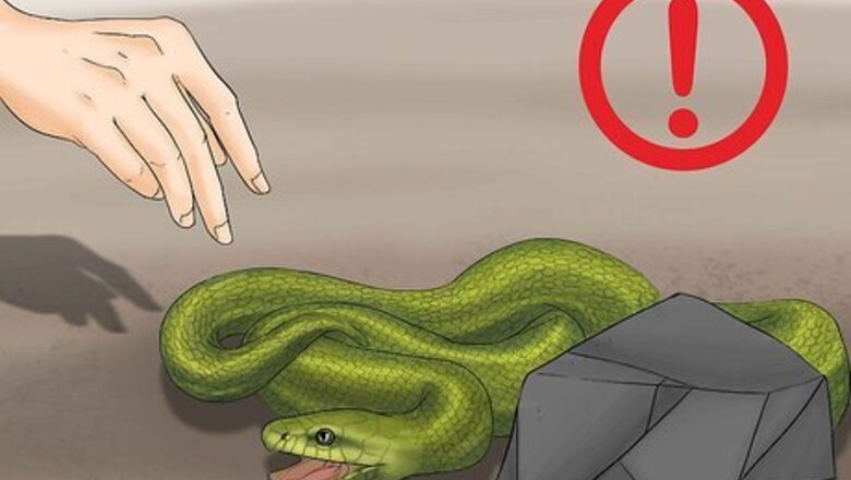 How to Remove Duct Tape from a Snake