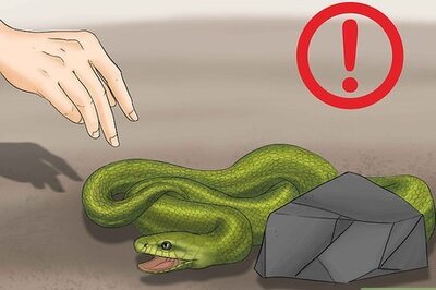 How to Remove Duct Tape from a Snake