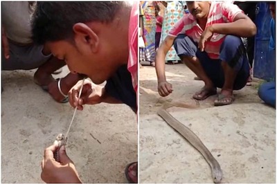 Watch: Man Saves Cobra By Blowing Air Into Mouth Using Straw