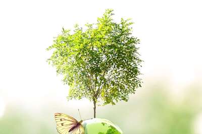 How an Atmanirbhar India Can Produce Green Hydrogen for the World