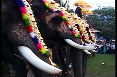 PETA sends legal notice to Kerala government seeking withdrawal of order on illegally captive elephants