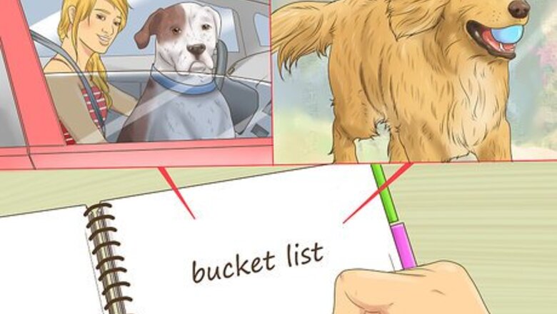 How to Make Your Dog's Final Days Special