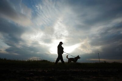 Indore Man Bites Man Multiple Times for Stopping Him from Thrashing Dog Mercilessly