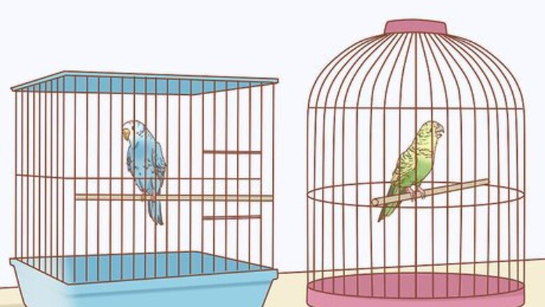 How to Treat Diarrhea in Parakeets