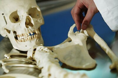 Archaeologists Find World's Largest Child Sacrifice Site in Peru With Remains of 227 Kids