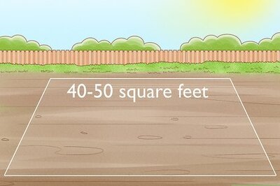 How to Prepare Soil for a Vegetable Garden: Testing, Amending & Tilling