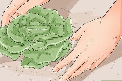 How to Prevent Angiostrongyliasis