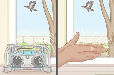 How to Get Rid of Woodpeckers