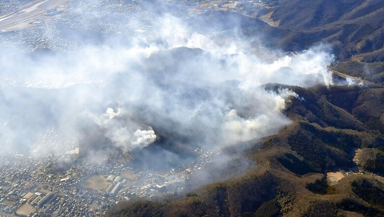 Over 79 Hectares of Forest Land Gutted in Nainital Fire Despite Early Signs in Jan: Where Did We Falter?