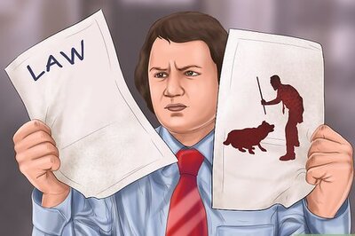 How to Report Farm Animal Abuse