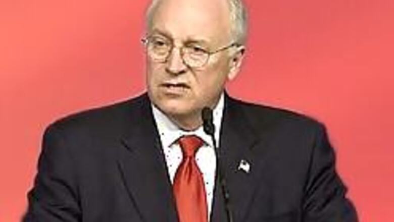 After firing at pal, Cheney under fire