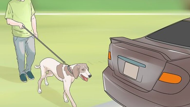 How to Fire Drill Train Your Dog