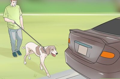 How to Fire Drill Train Your Dog