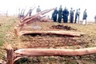 Singur farmer commits suicide