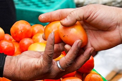 Why Your Tomato’s Making You See Red: Real Reason Behind Price Hike, When to Expect Dip | Explained