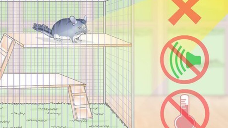 How to Prevent Chinchillas from Developing Hairballs