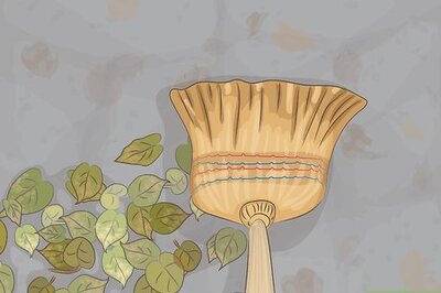 How to Remove Leaf Stains from Concrete