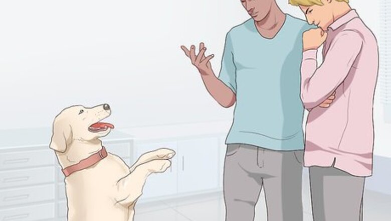 How to Encourage Senior Dog Adoption