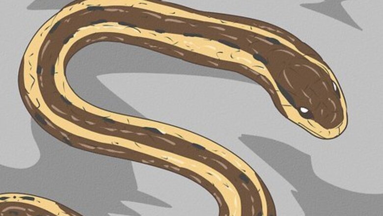How to Identify Garden Snakes