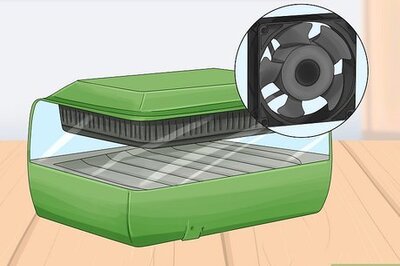 How to Hatch a Mallard Duck Egg