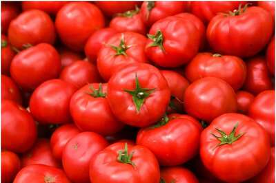Nearly Rs 160 Per Kg, Tomato Prices Continue to Soar; May Take Over a Month for Rates to Normalise