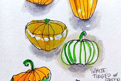 How to Paint a Scene of Pumpkins and Mums in Watercolor