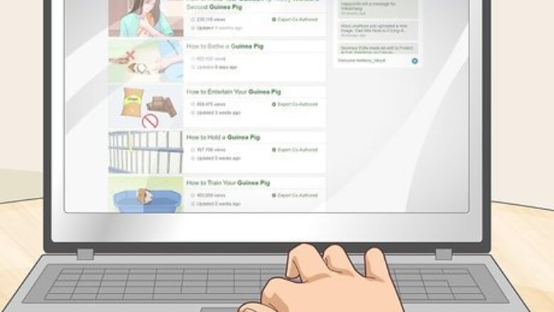 How to Run a Guinea Pig Rescue