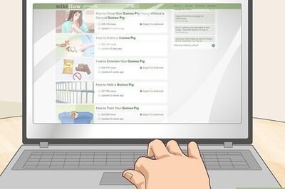 How to Run a Guinea Pig Rescue