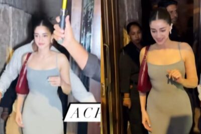 Sexy Video! Ananya Panday Turns Up The Heat In Bodycon Dress, Flaunts Curves In Hot Video | Watch