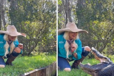 Viral Video Shows Woman Caressing An Alligator; Internet Worried About Her Safety